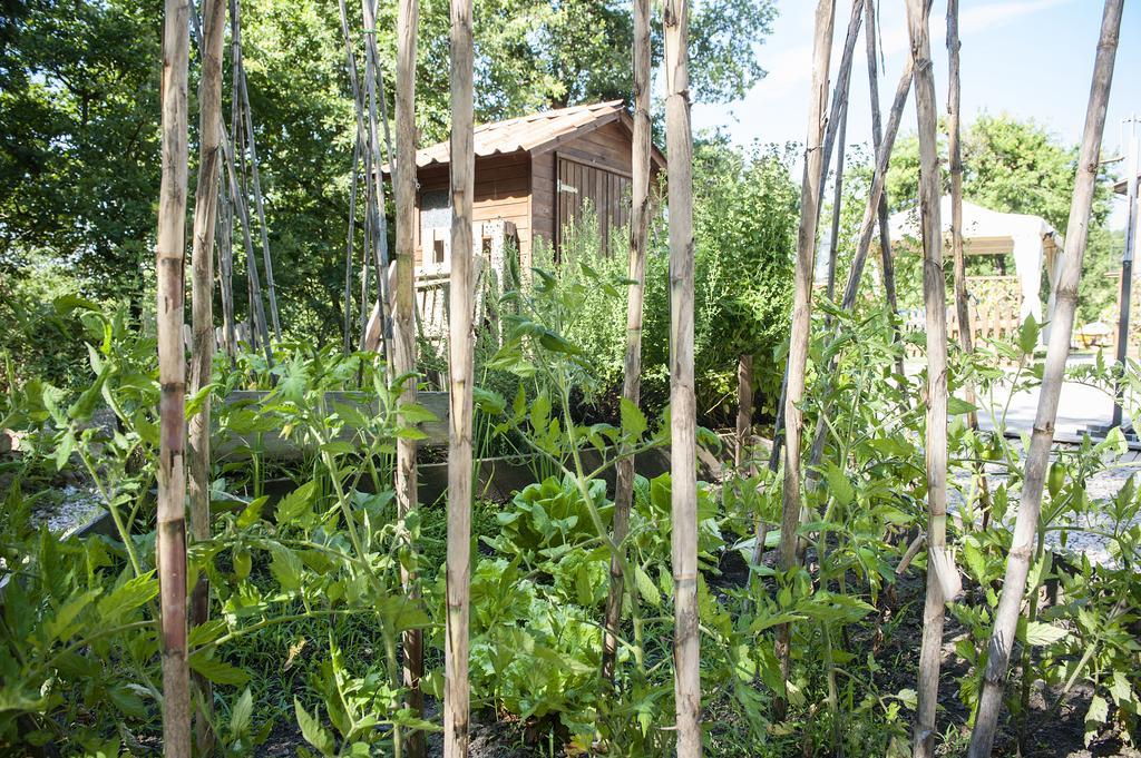 Il Casale Del Ra Guest House Tuoro sul Trasimeno Luaran gambar